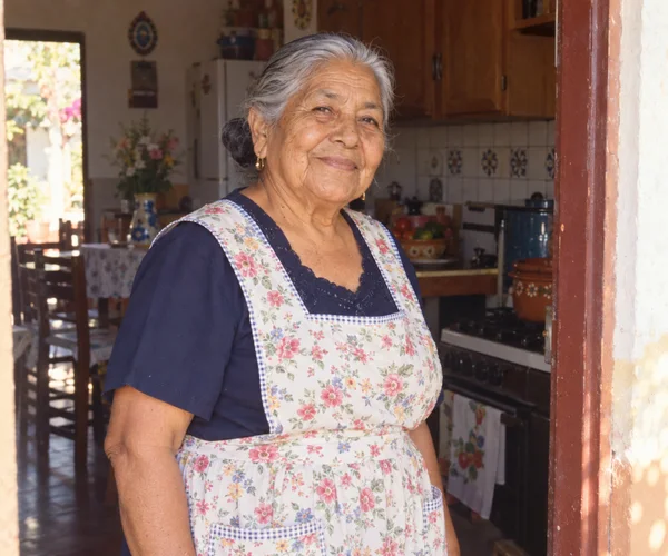 Input photo: a grandmother with a silver bun in a flowered apron
